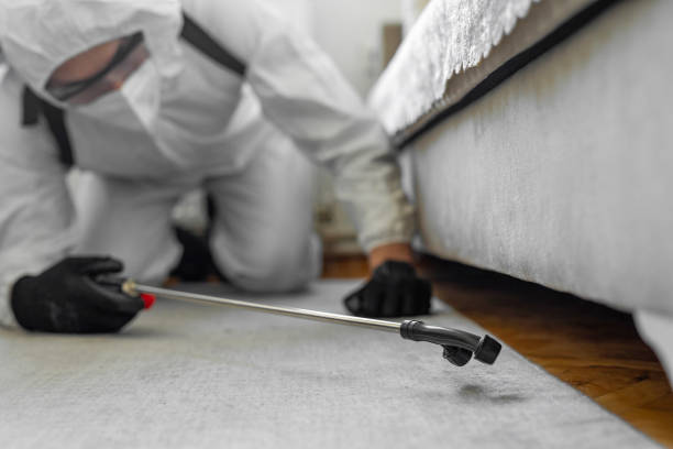 Professional Cockroach Control technician working in Morehead City, NC