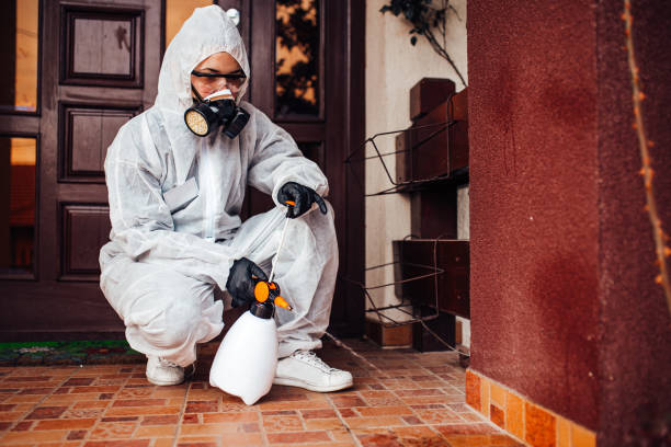 Reliable Cockroach Control contractor in Morehead City, NC by Nex Pest Control