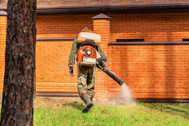 Trusted Fumigation Services service in Morehead City, NC - Nex Pest Control